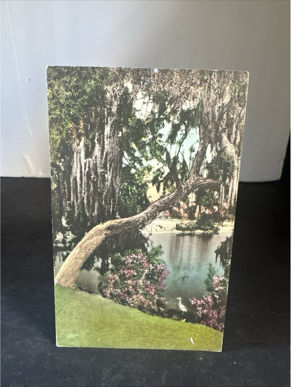 1927 Concord grape vine massachusetts postcard 2 Washington stamp posted